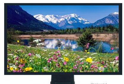 19寸液晶監視器VA19-L30
